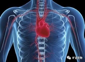 重磅推出最新欧洲共识解读：高尿酸血症和高心血管风险患者的诊断和医治专家共识（2018）